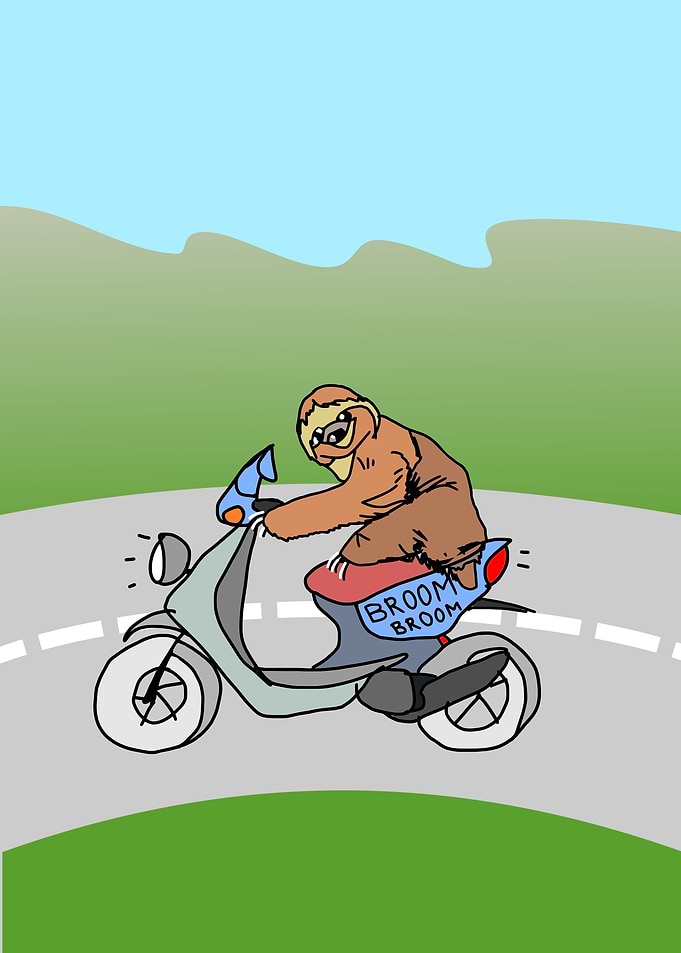 sloth riding a scooter
