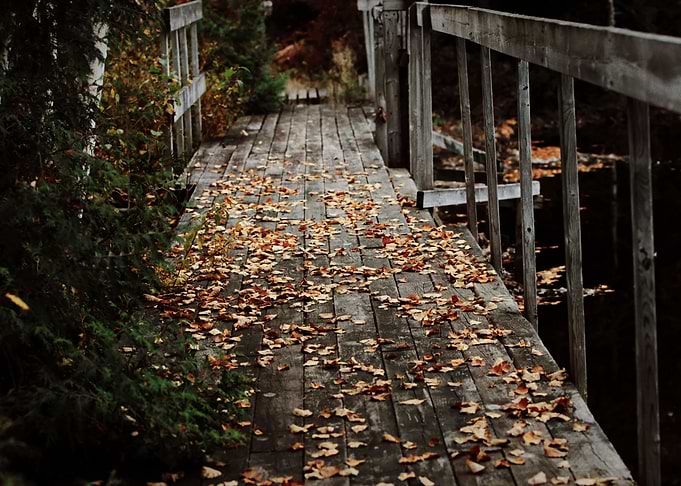 Bridge