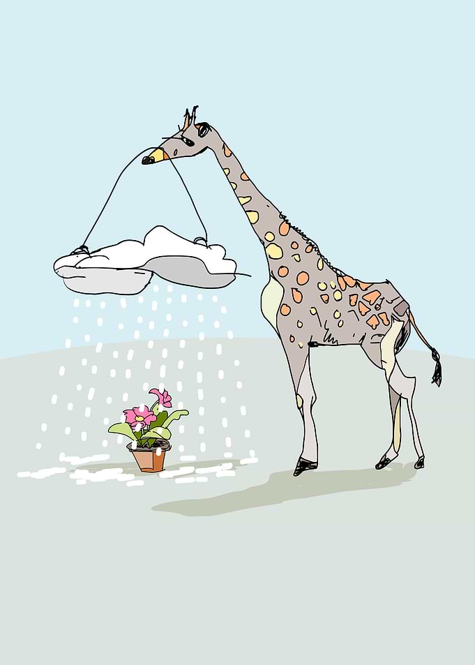 giraff and cloud