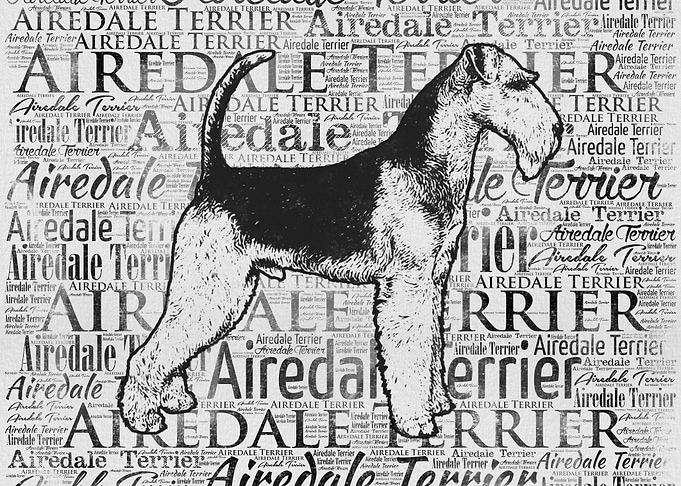 Airedale Terrier