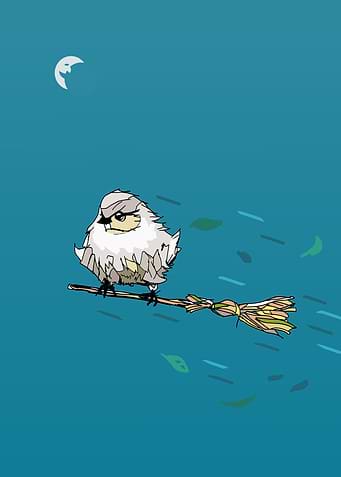 bird flying a broomstick