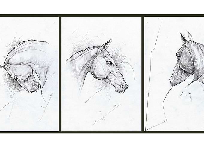 Horses series