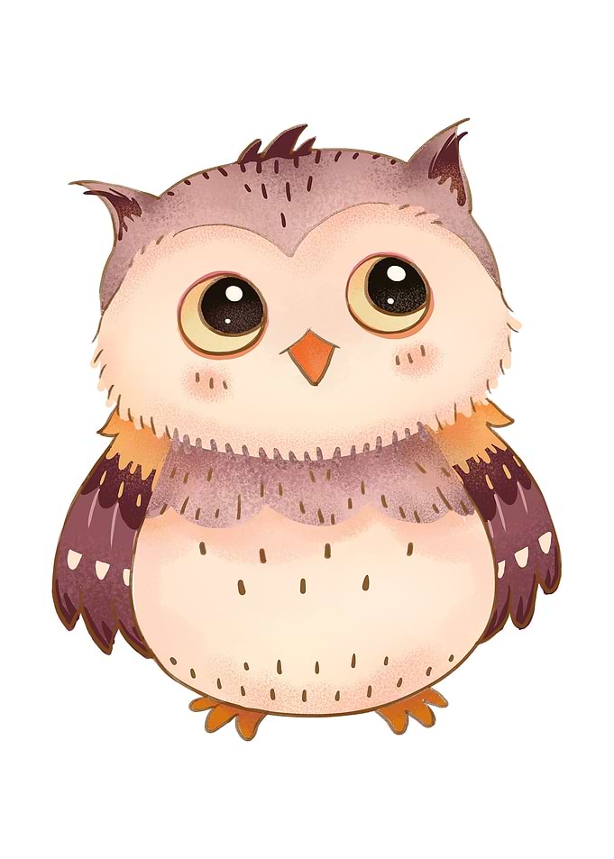 Woodland Owl