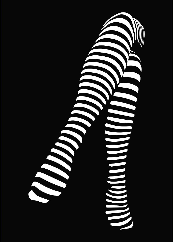 Legs