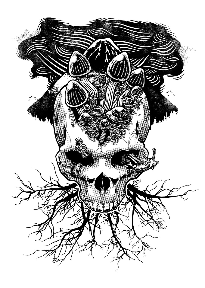Natural Law