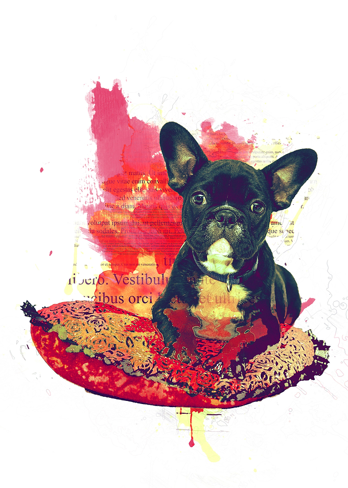 SISLEY ARTPUGDISPLATE