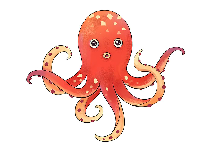 Octopus