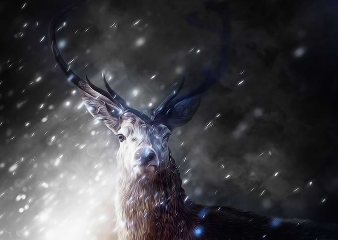 Painting Deer