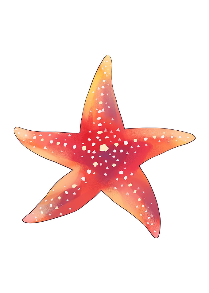 Star Fish