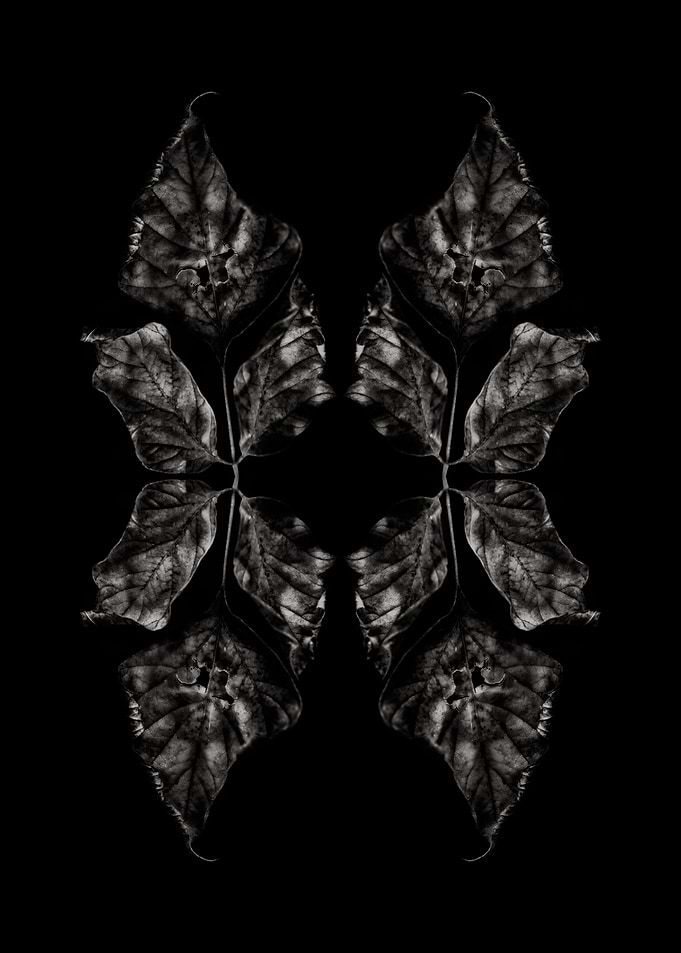 BW Abstraction No7