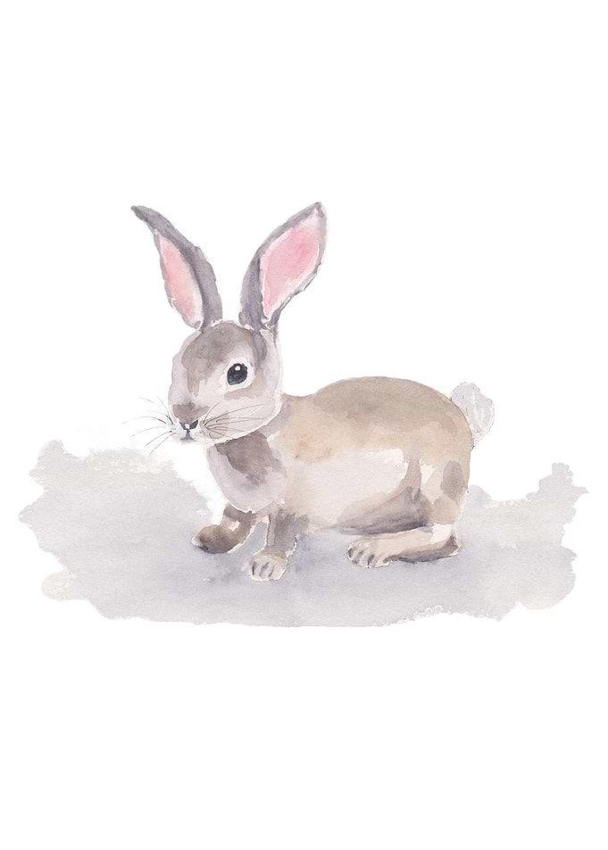 Watercolor Rabbit
