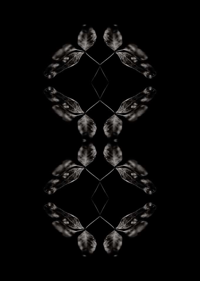 BW Abstraction No4