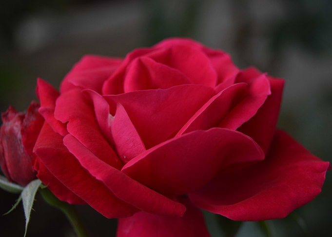 Nature 5