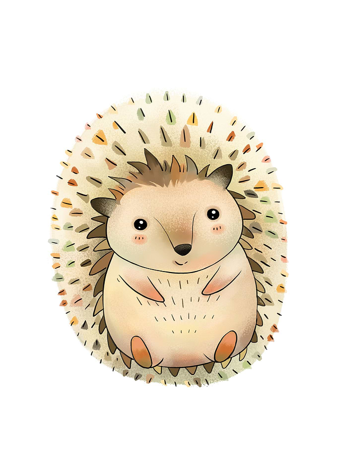 Woodland Hedgehog