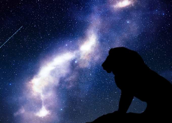 Leo