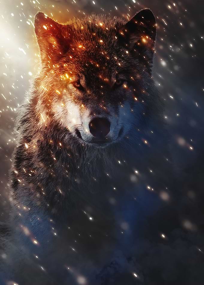 Wolf 2