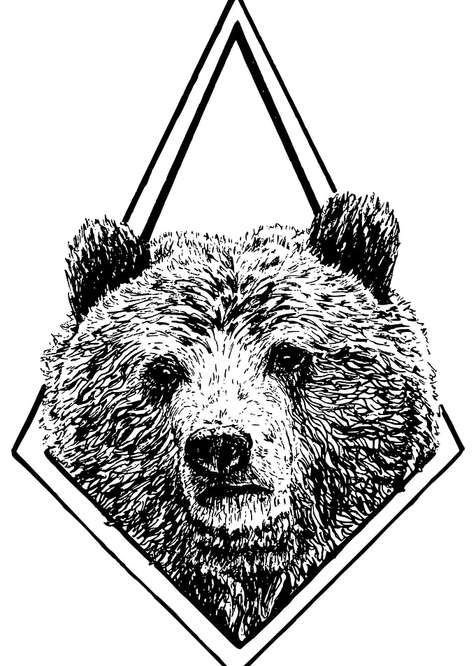 Grizzly Bear