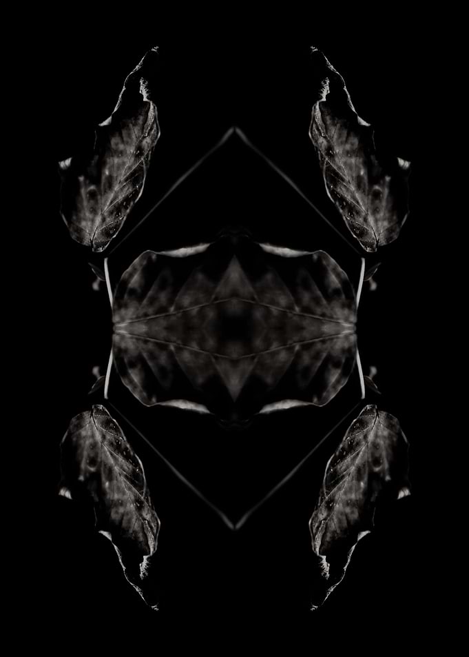 BW Abstraction No8