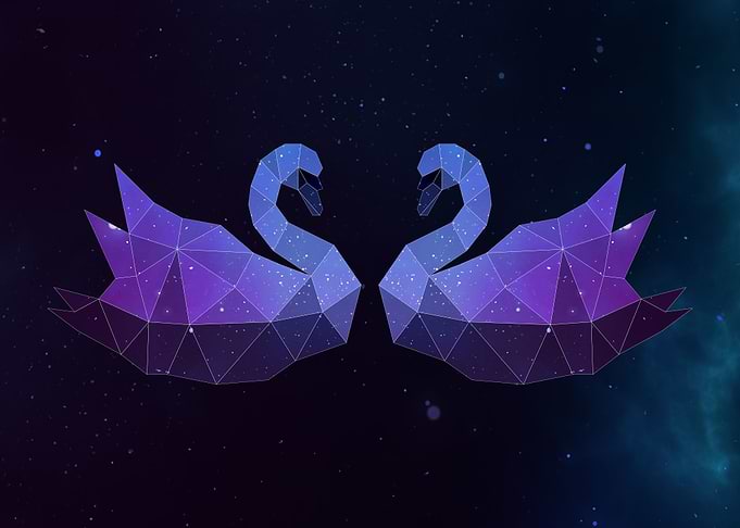 Galaxy Swan Lovers