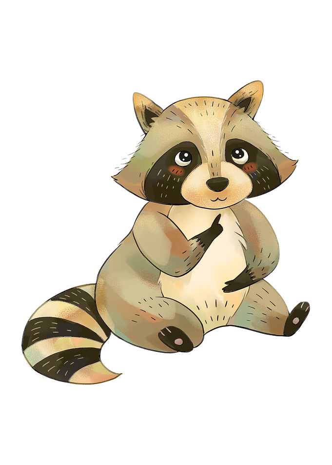 Woodland Raccoon