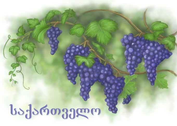 Grapevine