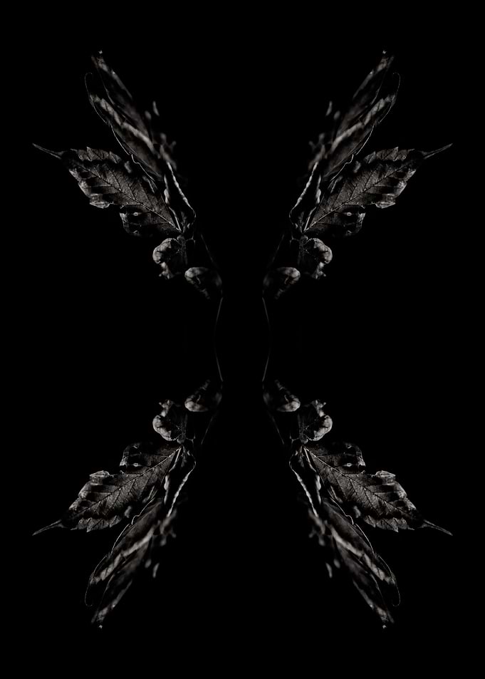 BW Abstraction No3