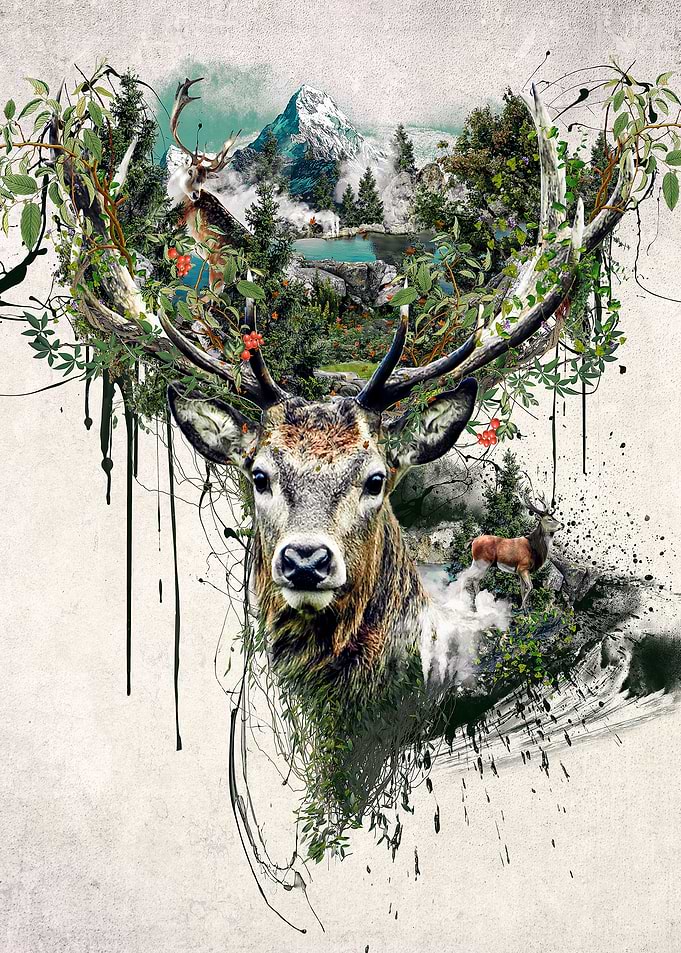 Deer