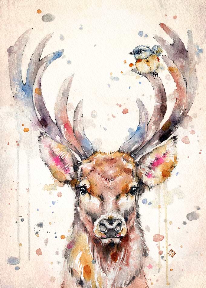 Deery Me