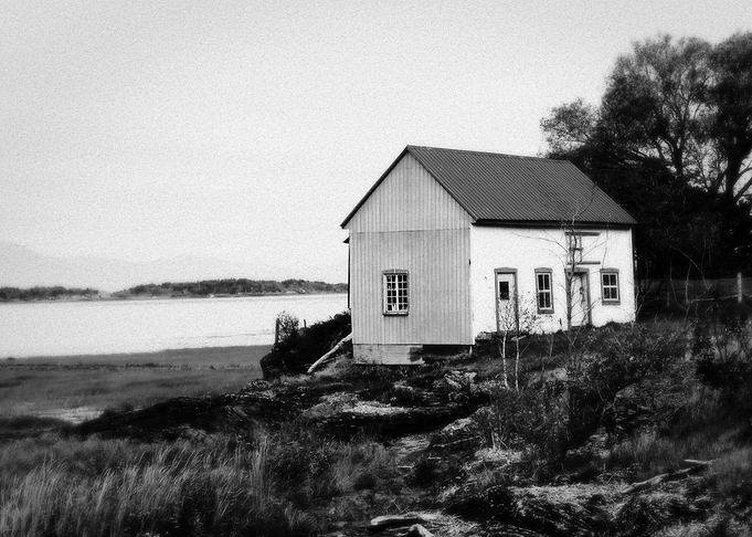 The shore