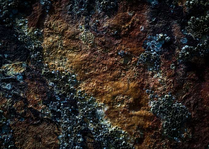 unsplash