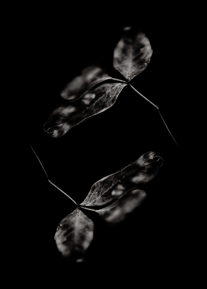 BW Abstraction No5