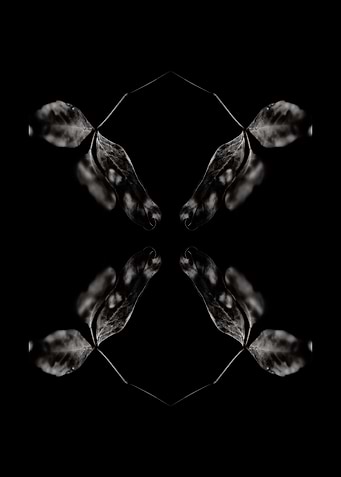 BW Abstraction No2