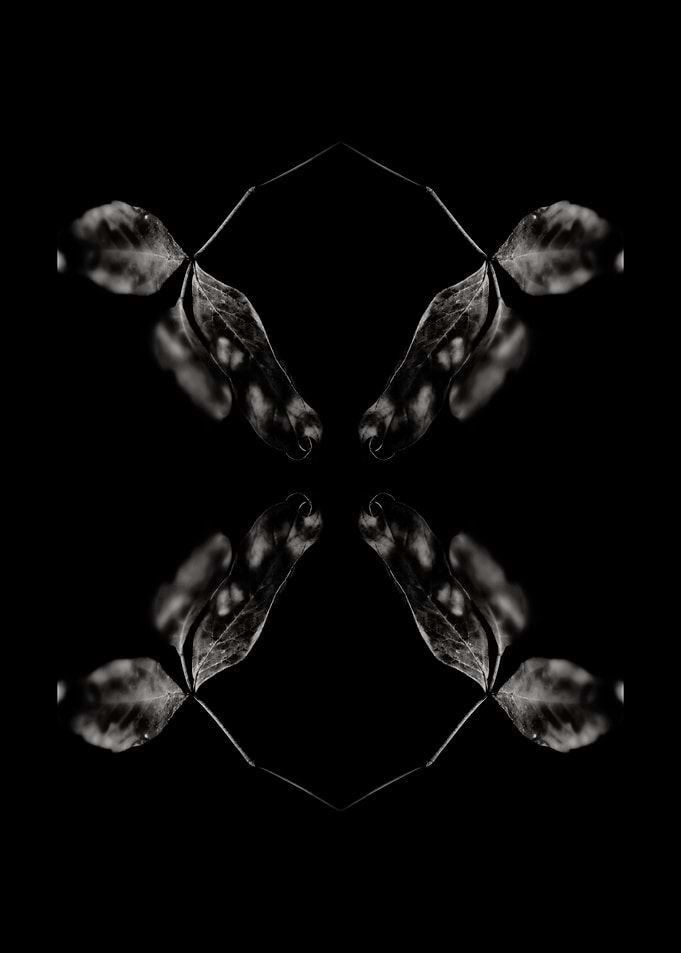 BW Abstraction No2