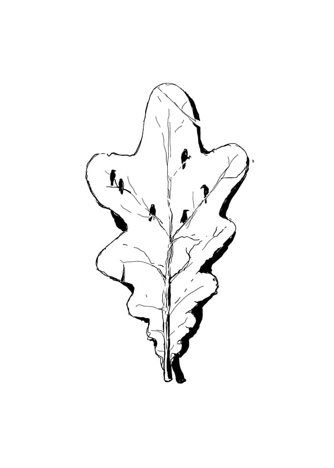 Tranquil