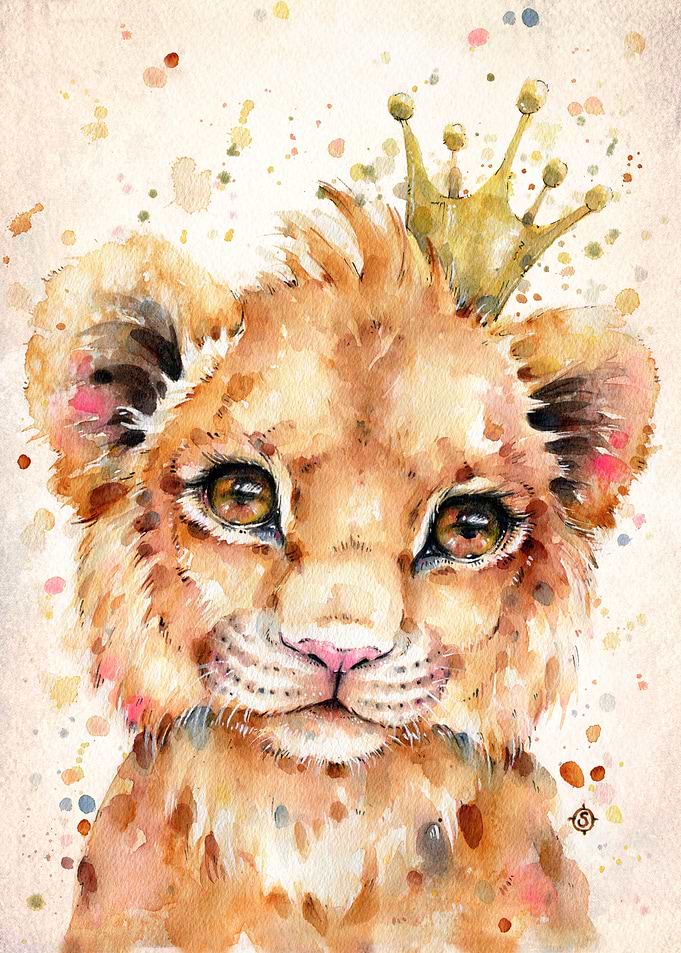 Little Lion