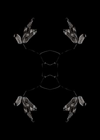 BW Abstraction No1