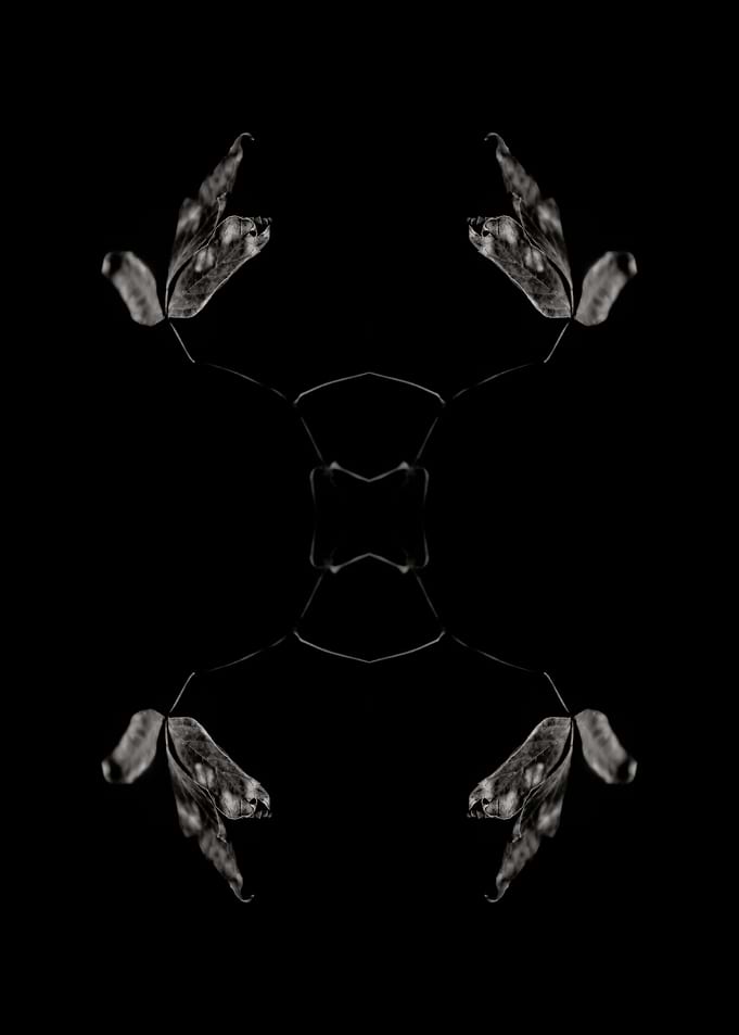 BW Abstraction No1