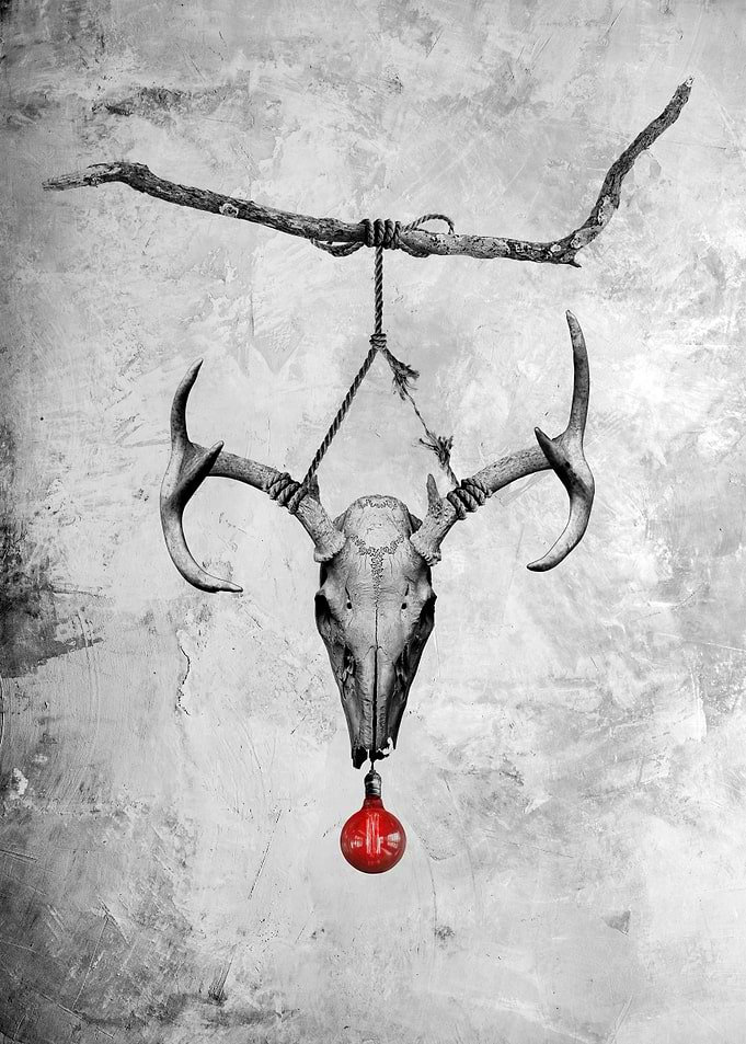 SLEIGHER