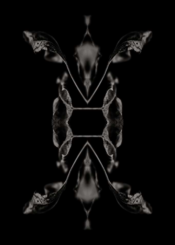 BW Abstraction No6