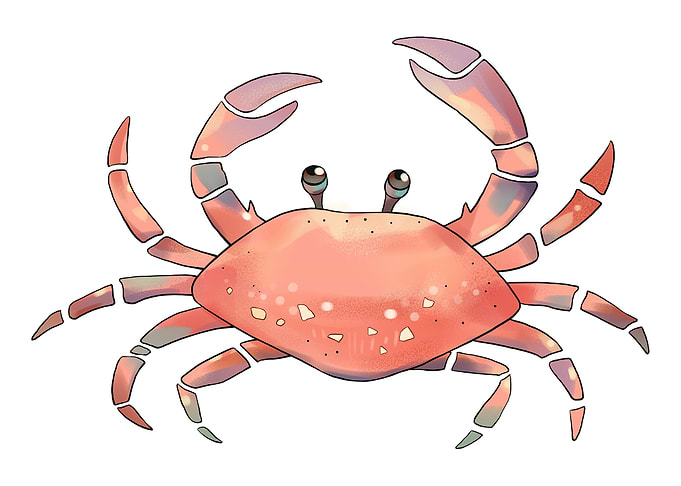 Crab