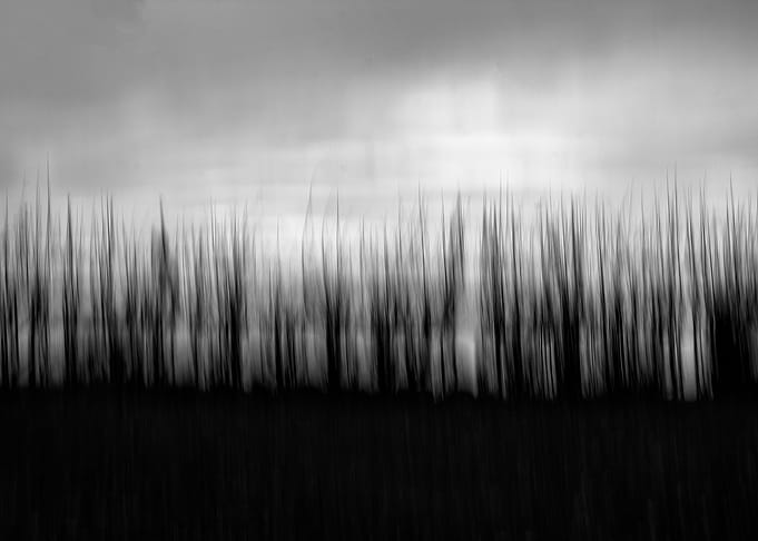 Obscure nature