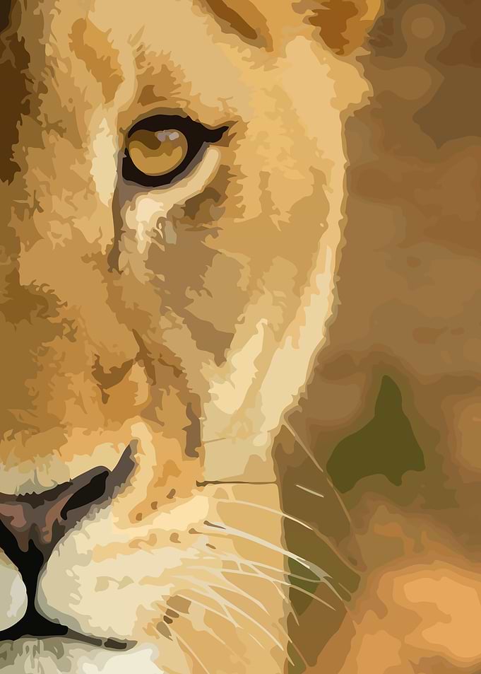 Lioness
