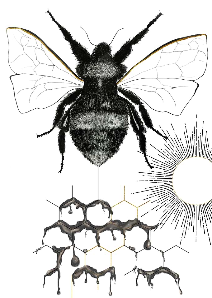 Bumble Bee
