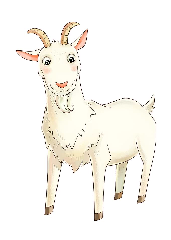 Goat