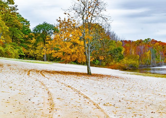 A Fall Path