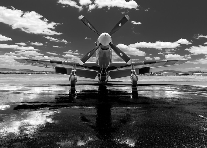 Mustang Wash Day