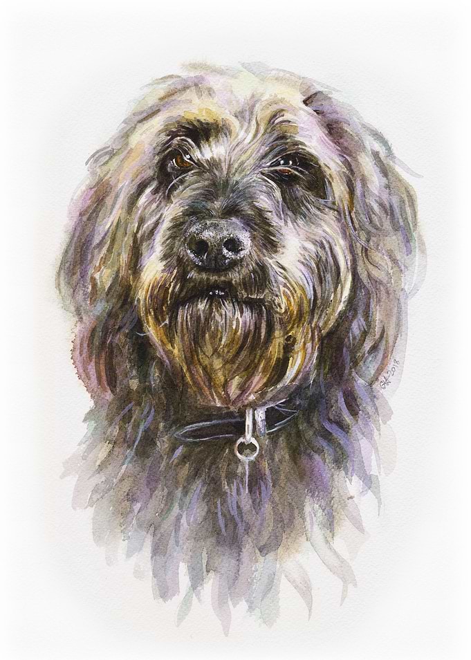 Dfor Dog the Labradoodle