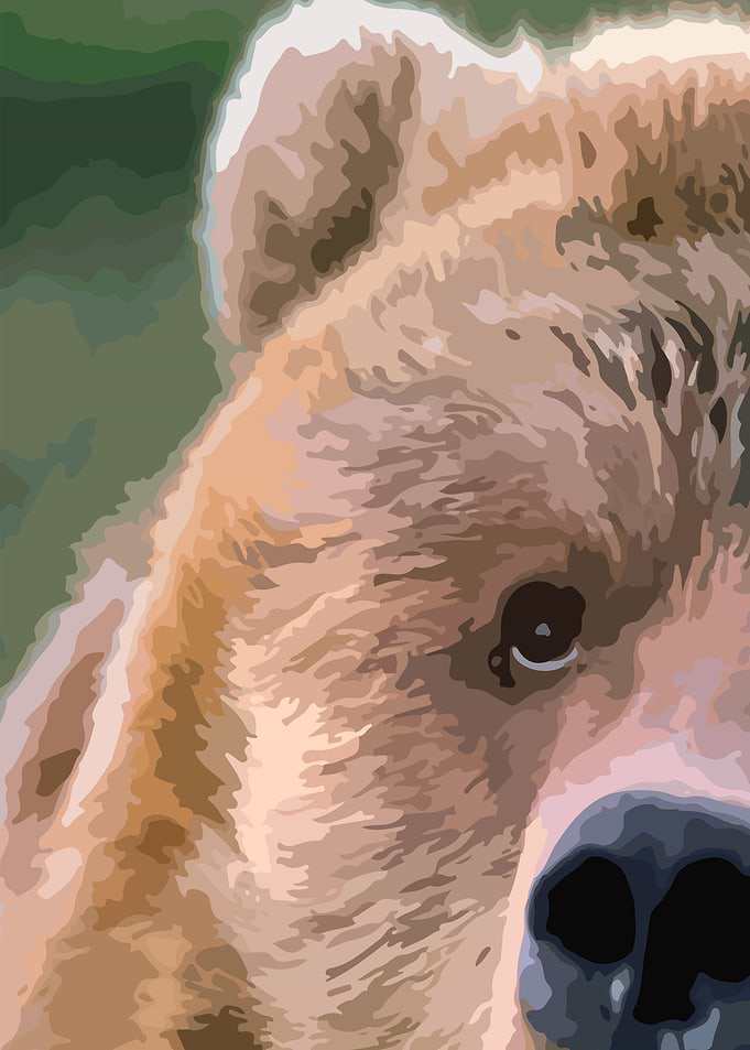 Grizzly