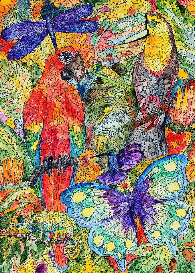 Butterfly Dragonfly