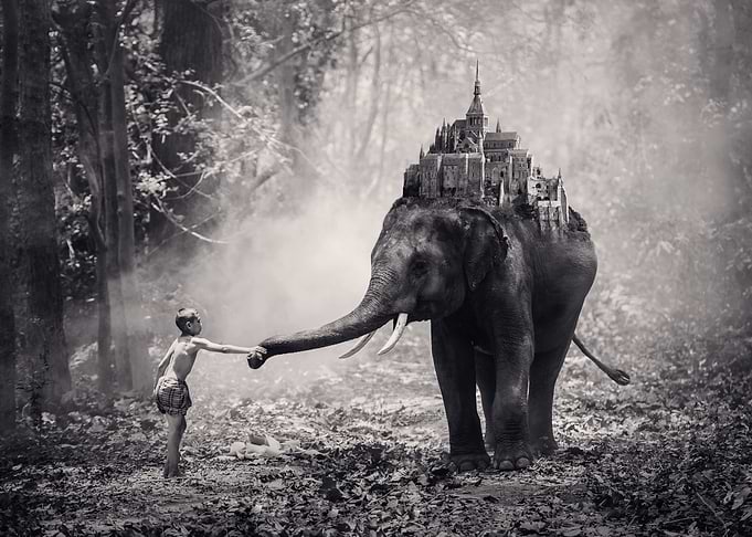 Dreamland